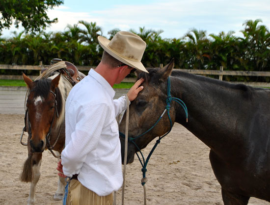 horsemanship training