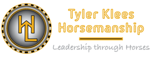 Developing Horsemanship - Leadership Through Horses