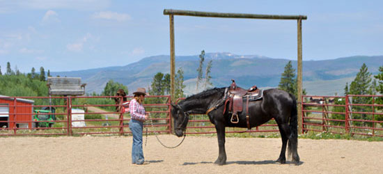 horsemanship training